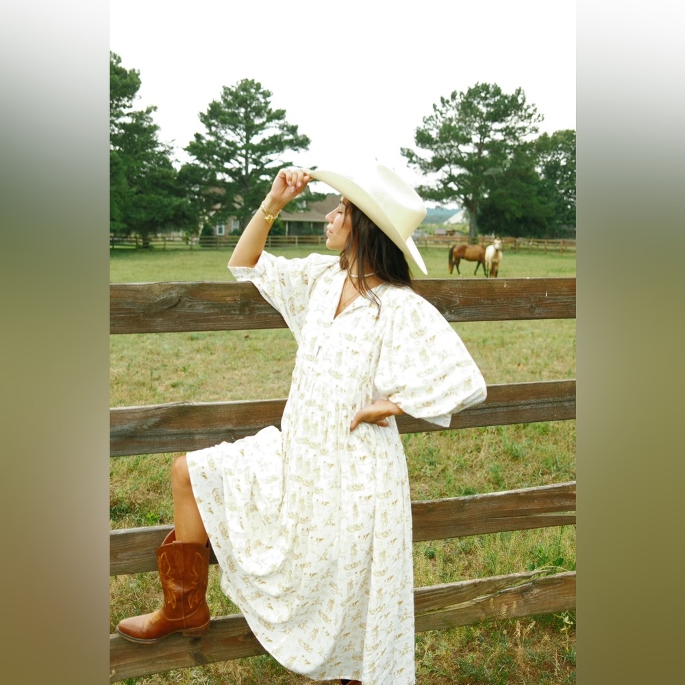 Cowgirl Dress by NoliaBae Nicole Dress in Countryside NWOT